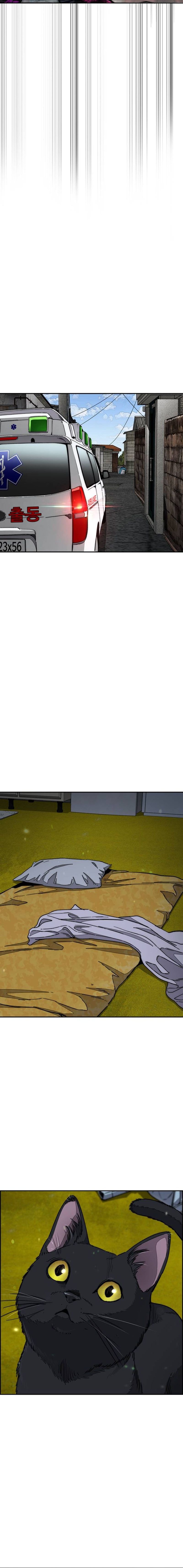 Read Wind Breaker ID Manga Online