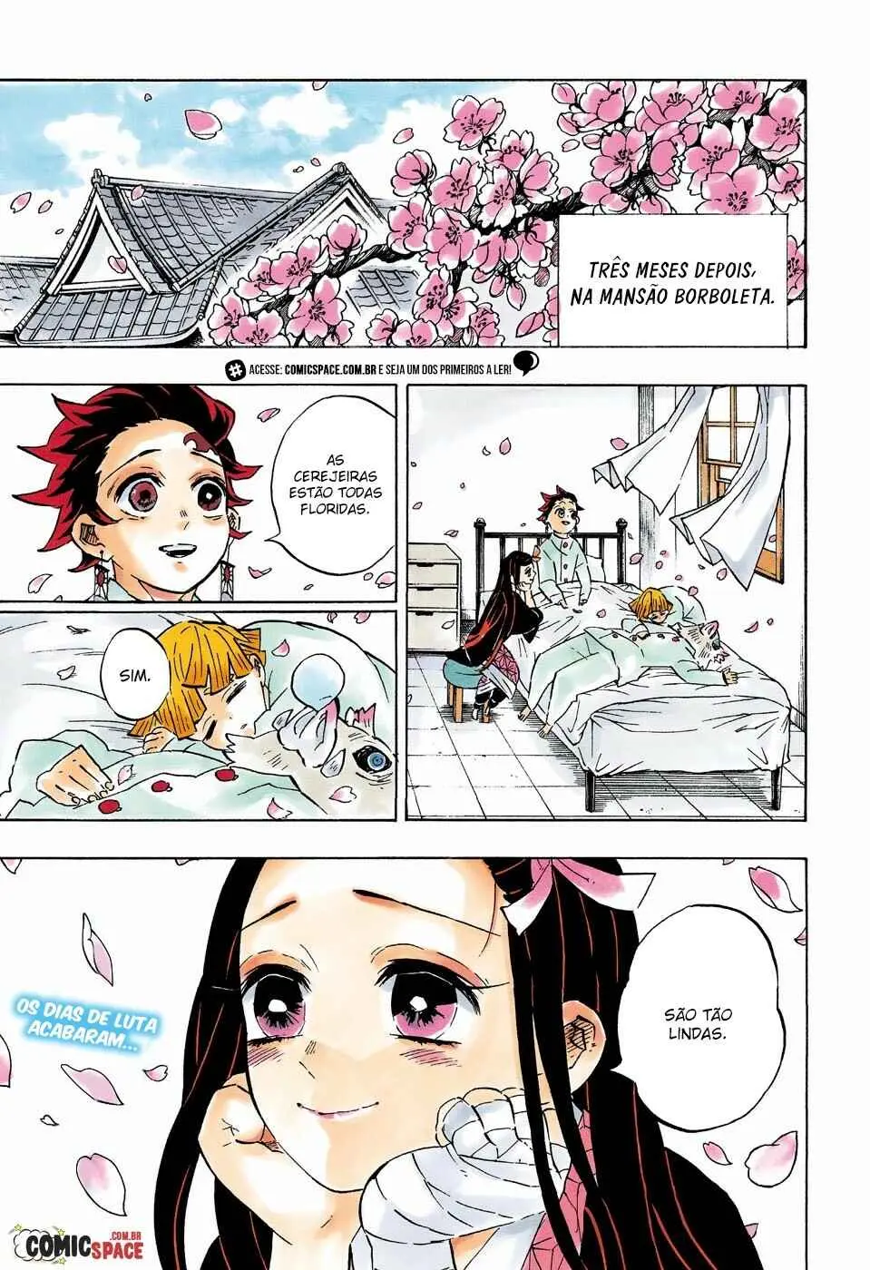 Read Demon Slayer Kimetsu no Yaiba PT Manga Online