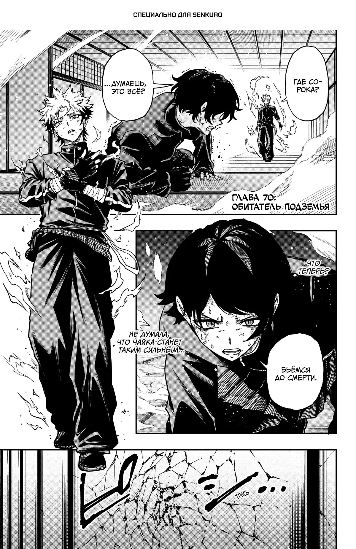 Read Шиноби под прикрытием Manga Online